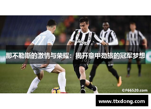 那不勒斯的激情与荣耀:揭开意甲劲旅的冠军梦想 那不勒斯的激情与荣耀:揭开意甲劲旅的冠军梦想